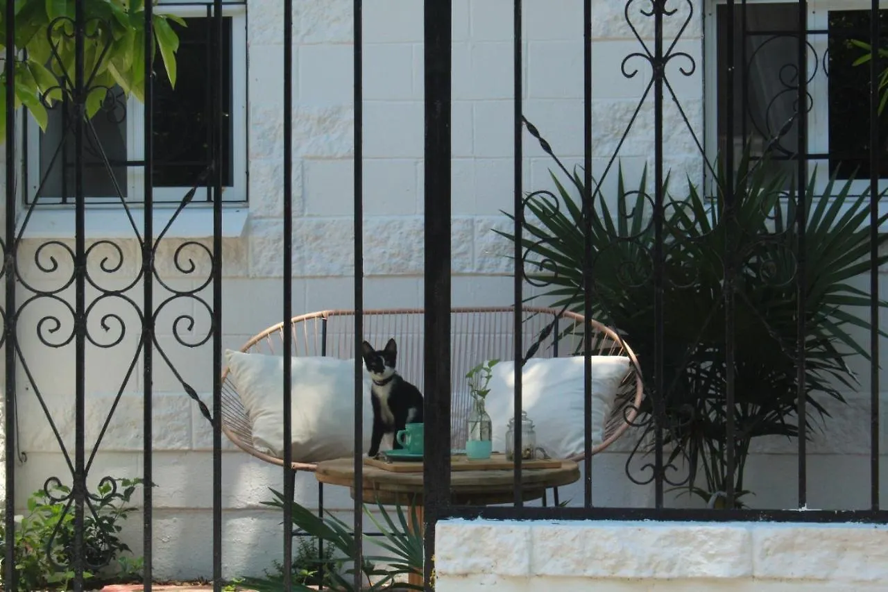 Casa Palmita Hotel Playa del Carmen Gæstehus