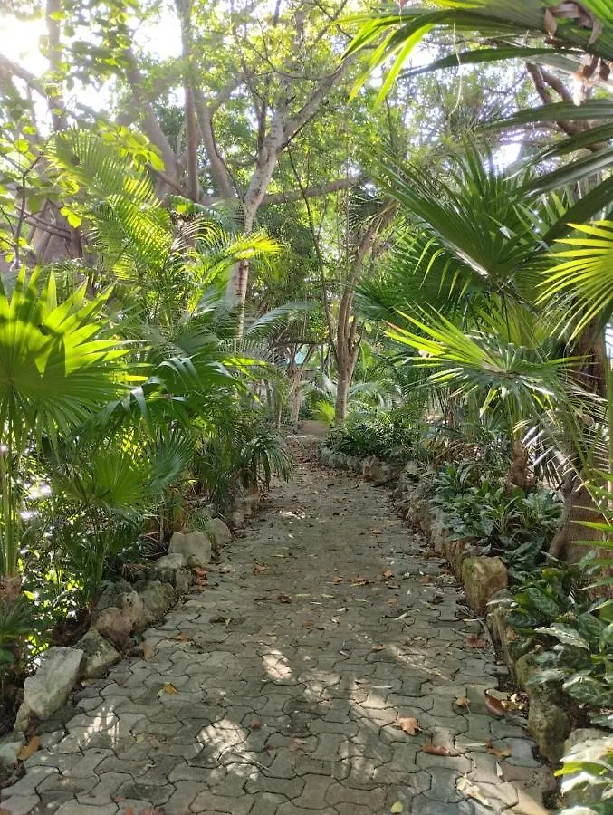 Hotel Casa Palmita Playa del Carmen