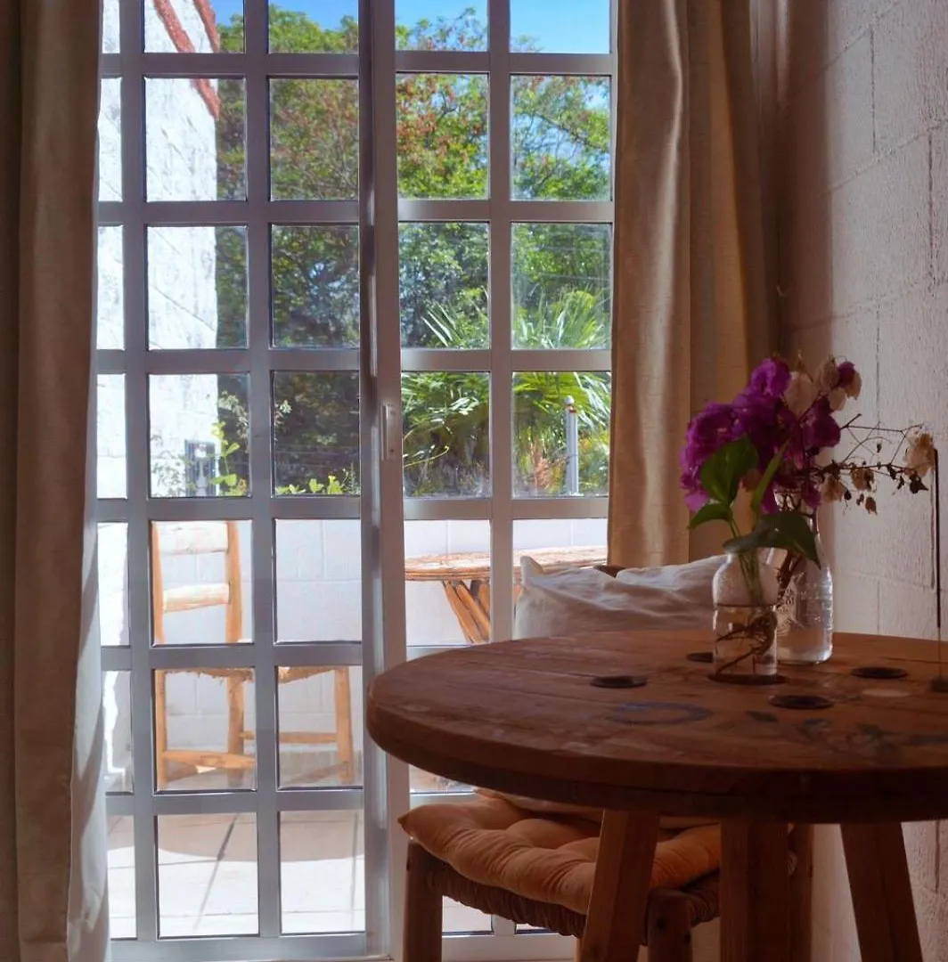 Gæstehus Casa Palmita Hotel Playa del Carmen