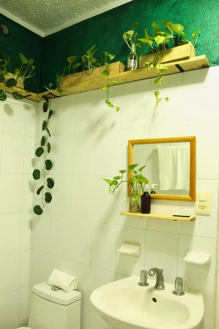 Gæstehus Casa Palmita Hotel Playa del Carmen