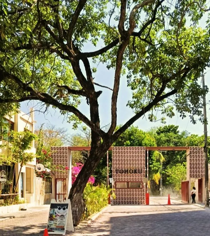 Casa Palmita Hotel Playa del Carmen Gæstehus