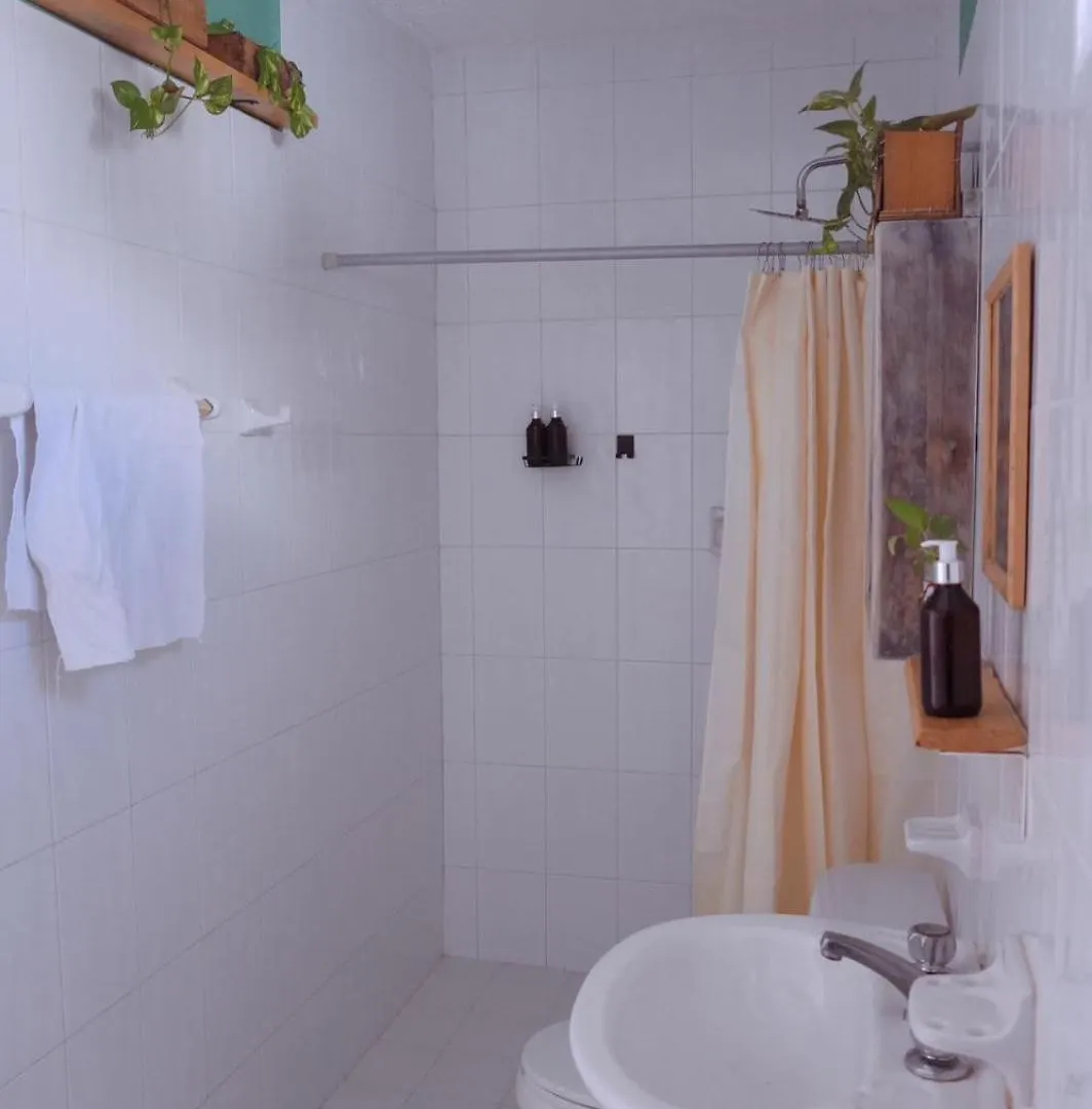Casa Palmita Hotel Playa del Carmen Guest house