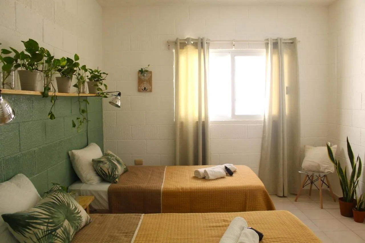 Casa Palmita Hotel Playa del Carmen Gæstehus