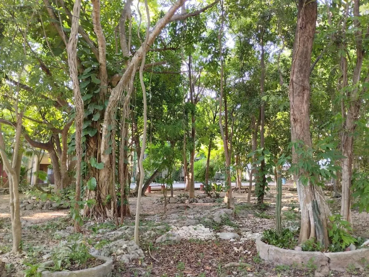 Gæstehus Casa Palmita Hotel Playa del Carmen Mexico